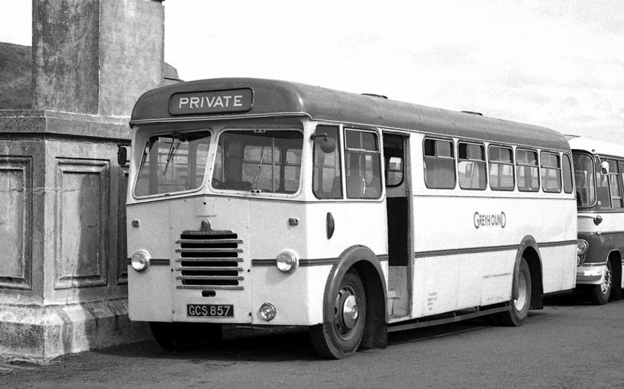  Bedford SBO Duple Midland (B40F) 1954 года  (фото 1 из 1)